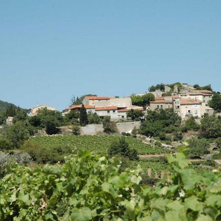 Montgaillard  Cecile 빌라 외부 사진