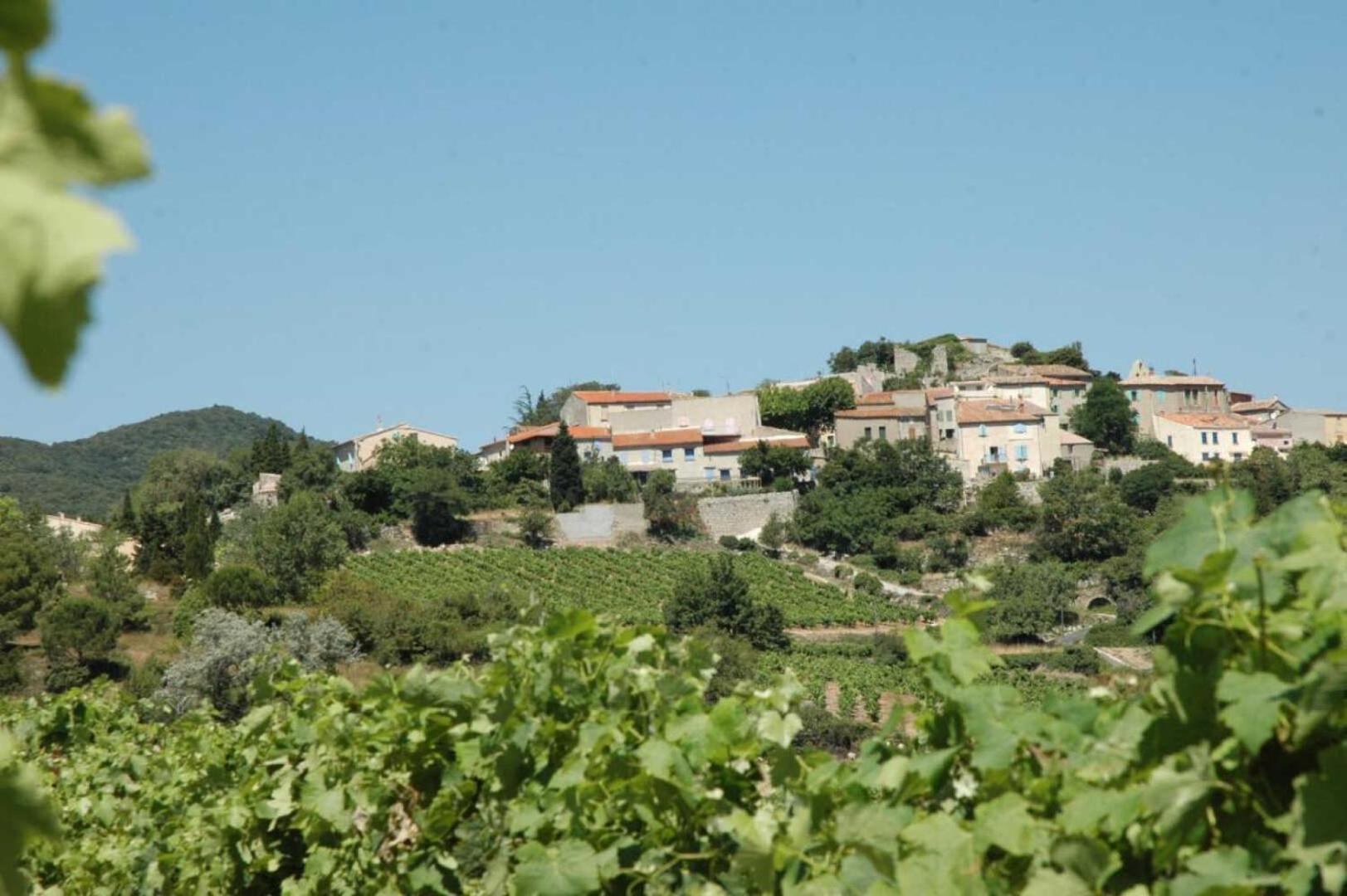 Montgaillard  Cecile 빌라 외부 사진